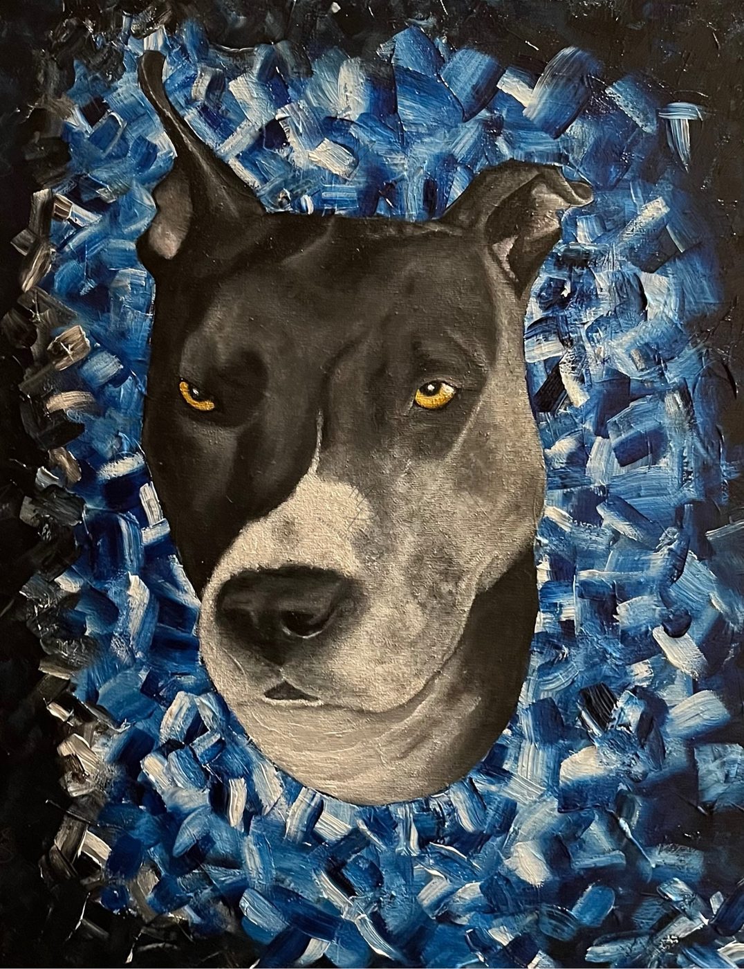 Black pit bull portrait with a blue textured background