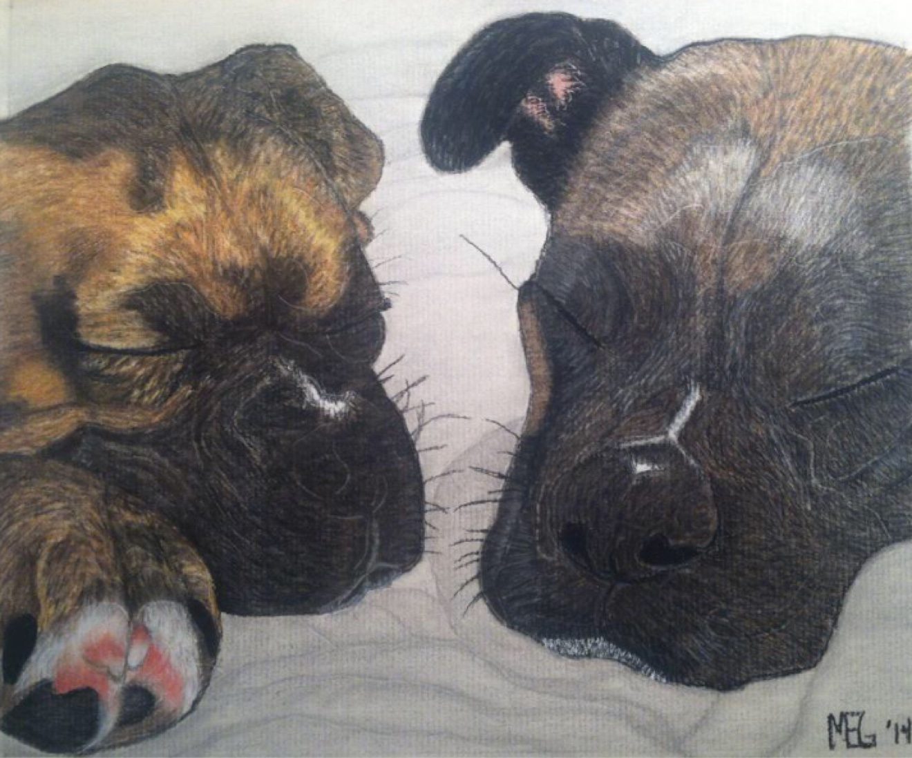Two sleeping puppies pastel commission
