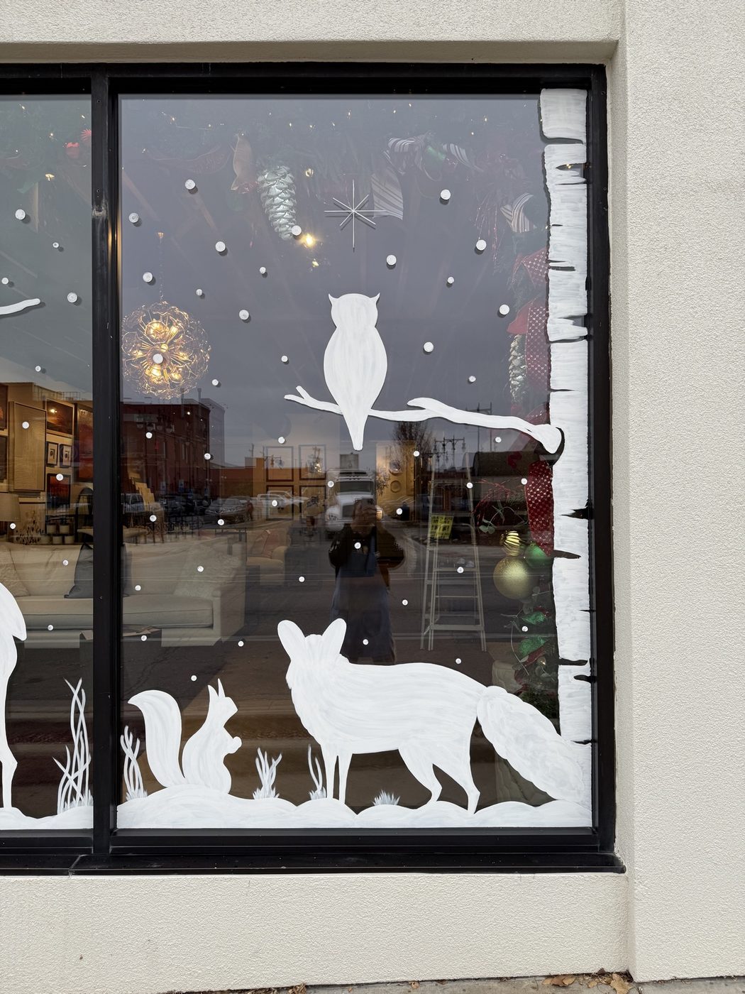 Owl, fox, and squirrel window painting at night